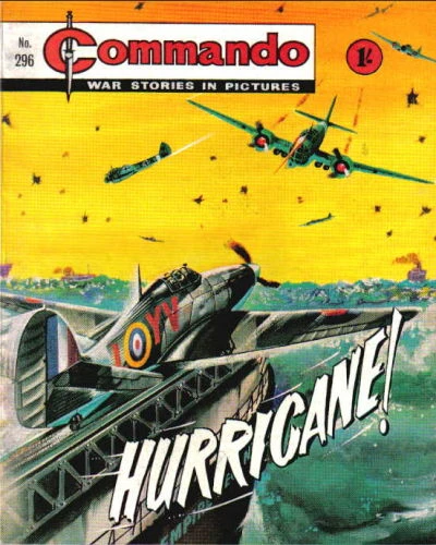Cover of Hurricane!
