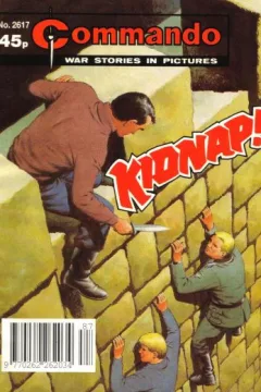 Issue #2617