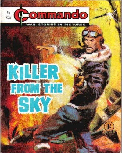 Cover of Killer From the Sky
