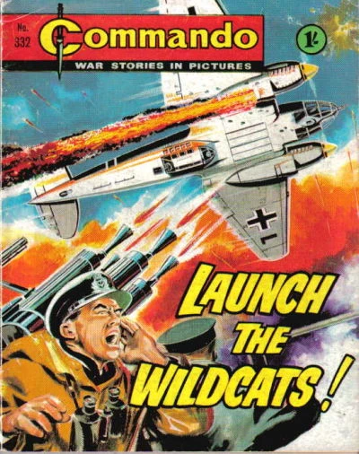 Cover of Launch the Wildcats!