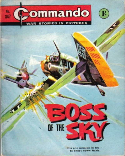 Cover of Boss of the Sky