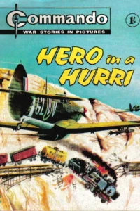 Hero In A Hurri