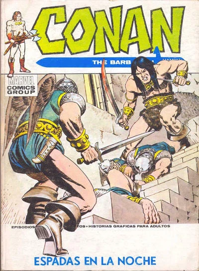 Cover of Espadas en la Noche