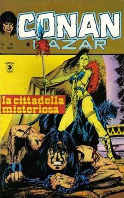 Cover of La cittadella misteriosa