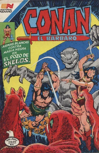 Cover of El Pozo de Skelos