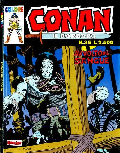 Cover of Issue #35