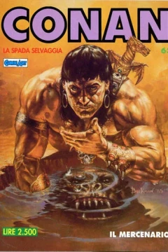 Il Mercenario