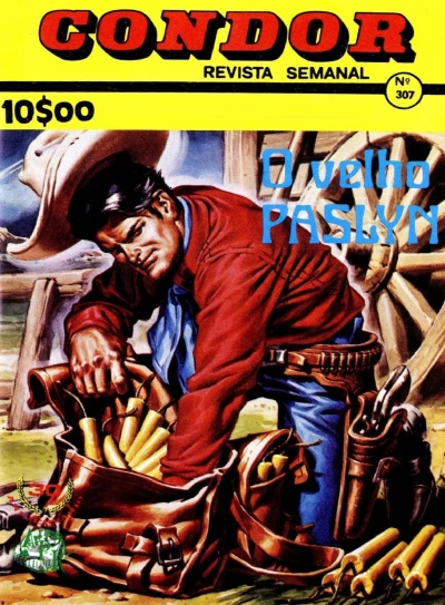 Cover of O velha Paslyn