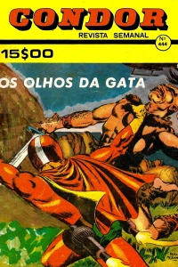 Os olhos da gata