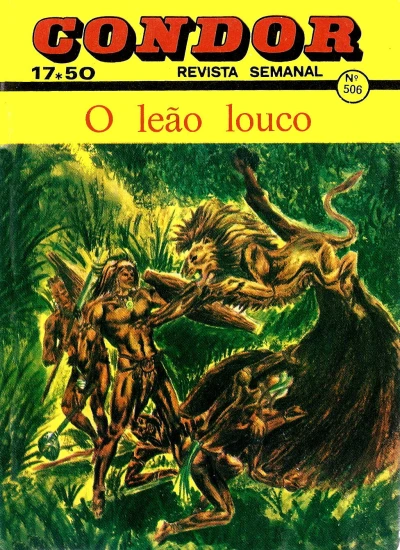 Cover of O leao louco