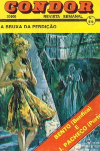 A bruxa da perdicao