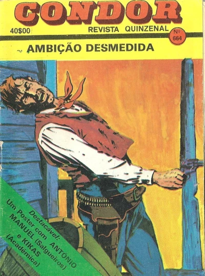 Cover of Ambicao Desmidida