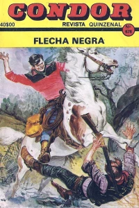 Flecha negra