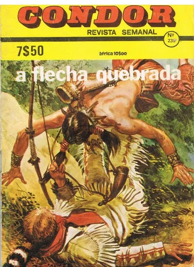 Cover of A flecha quebrada