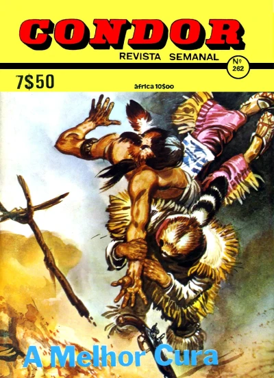 Cover of A Melhor Cura