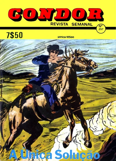 Cover of A Unica Solucao