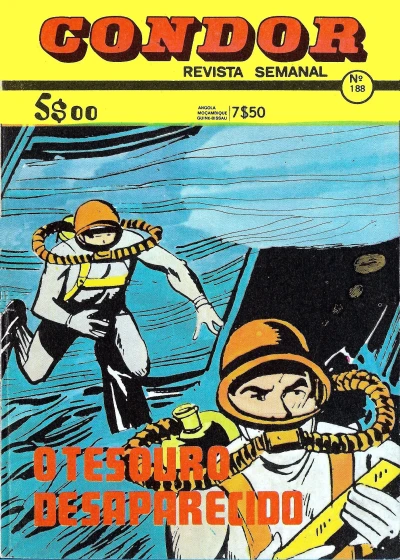 Cover of O tesouro desaparecido