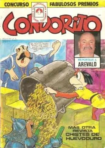 Cover of Reportaje a Arevalo