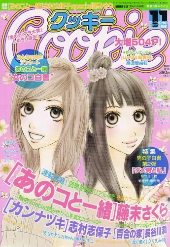 Cover of No. 11, 2007