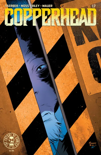 Cover of Issue #17
