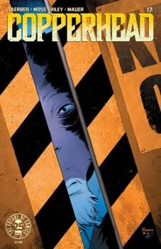 Cover of Issue #17