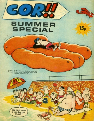 Cover of Issue #1971