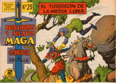 Cover of Issue #25
