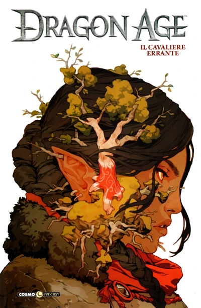 Cover of Dragon Age 3: Il cavaliere errante