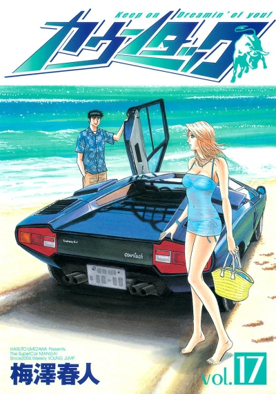 Cover of Vol. 17