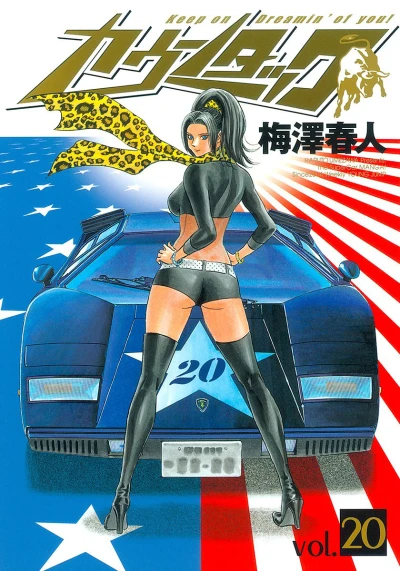 Cover of Vol. 20