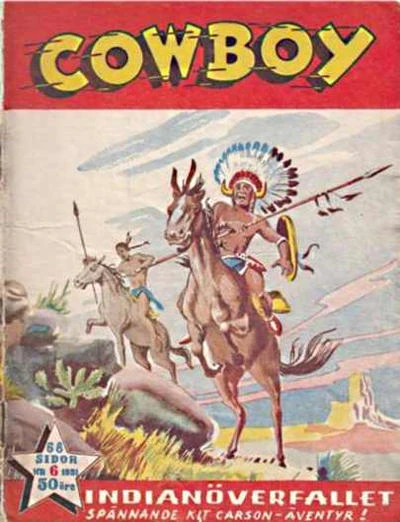 Cover of Indianoverfallet