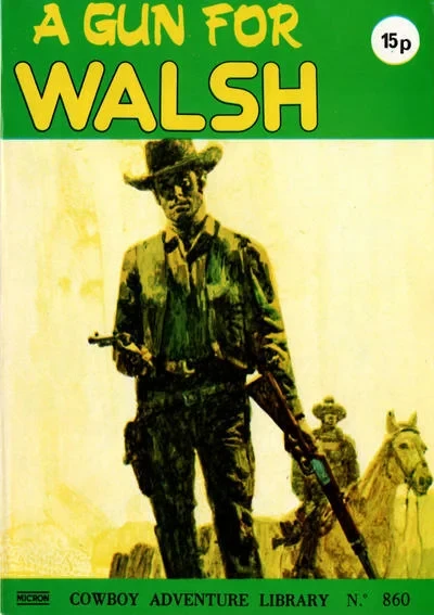 Cover of A Gun For Walsh