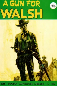 A Gun For Walsh
