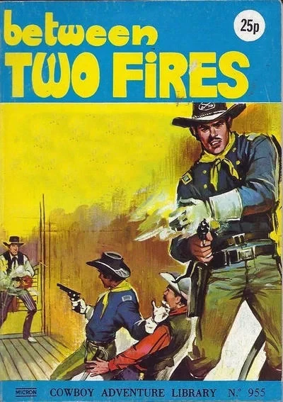 Cover of Between Two Fires