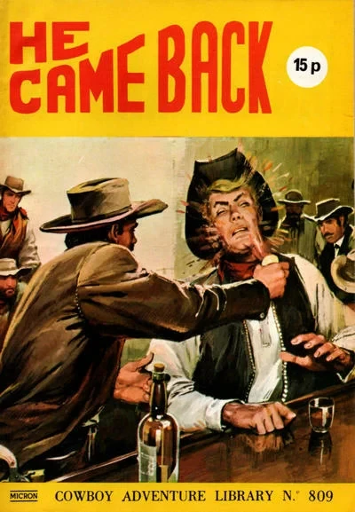 Cover of Brother Came Back