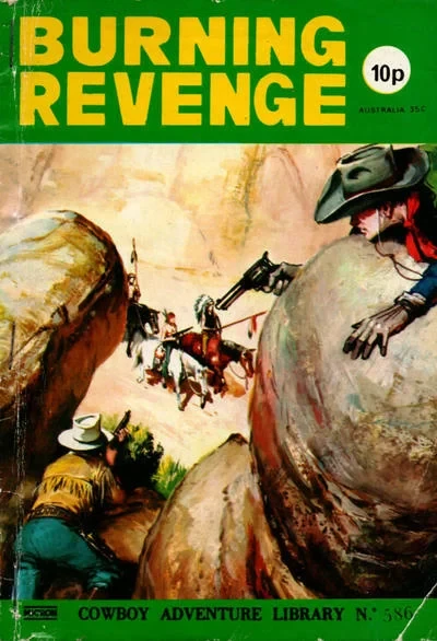 Cover of Burning Revenge