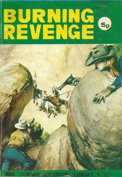 Cover of Burning Revenge