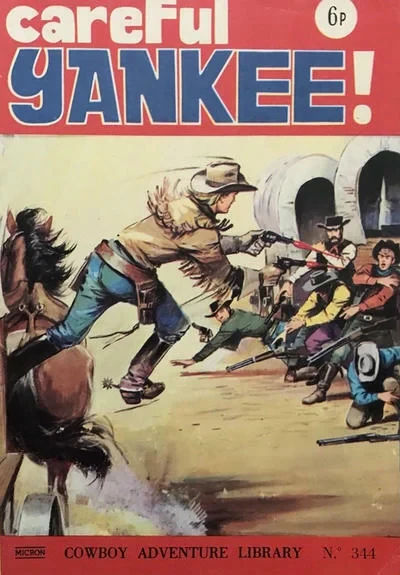 Cover of Careful Yankee!