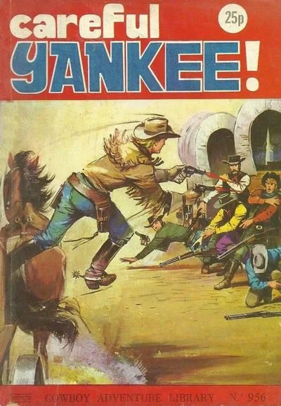 Cover of Careful Yankee!