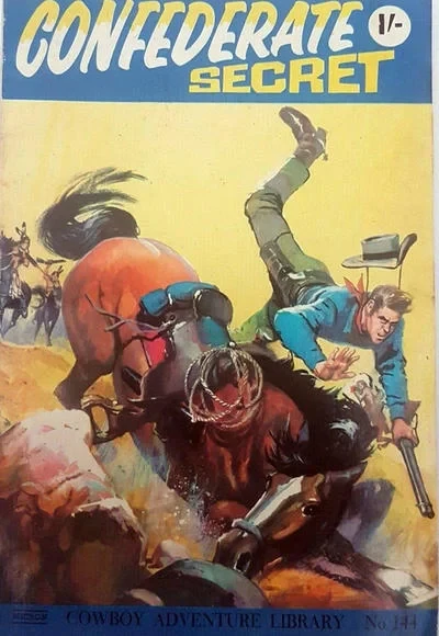 Cover of Confederate Secret