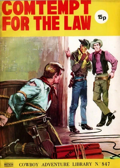 Cover of Contempt For The Law