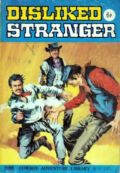 Cover of Disliked Stranger