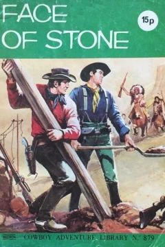 Face Of Stone