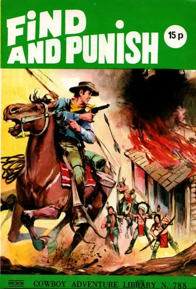 Cover of Find And Punish
