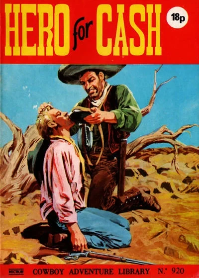 Cover of Hero For Cash
