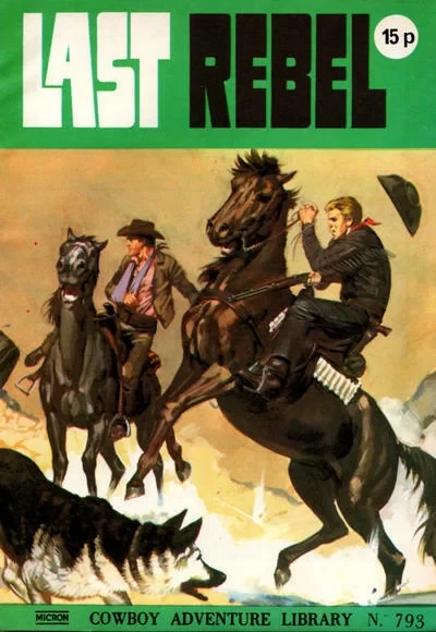 Cover of Last Rebel