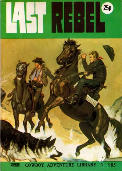Cover of Last Rebel