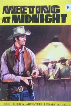 Meeting At Midnight