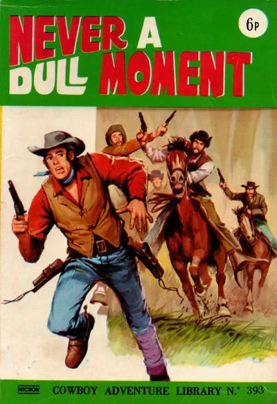 Cover of Never A Dull Moment
