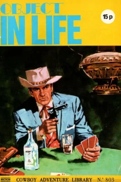Object In Life